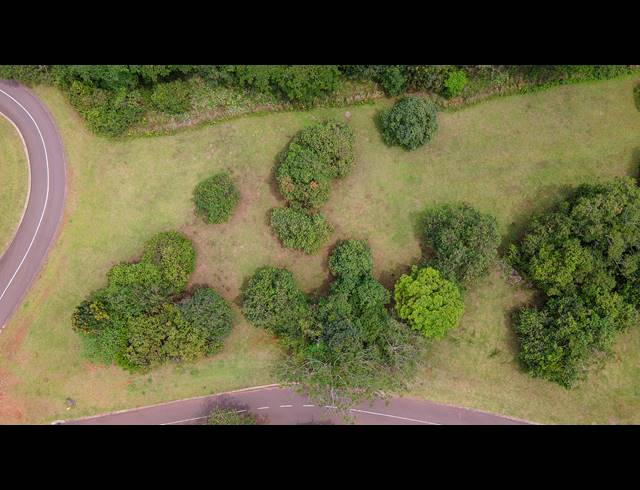 962M² VACANT LAND FOR SALE IN COTSWOLD DOWNS GOLF & COUNTRY ESTATE